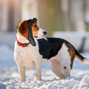 AeroPaws™ Winter Aviator Hat – Retro Fleece Pilot Cap