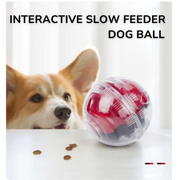 Treat Quest™ Slow-Feed Training Ball