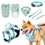 AdventureKit™ Modular Pet Harness Set