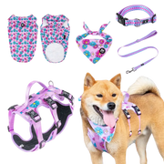 AdventureKit™ Modular Pet Harness Set