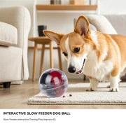 Treat Quest™ Slow-Feed Training Ball