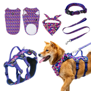 AdventureKit™ Modular Pet Harness Set