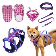AdventureKit™ Modular Pet Harness Set