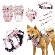 AdventureKit™ Modular Pet Harness Set