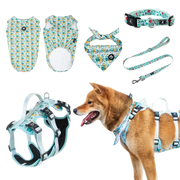 AdventureKit™ Modular Pet Harness Set