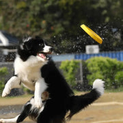SkyBound™ EVA Flying Disc