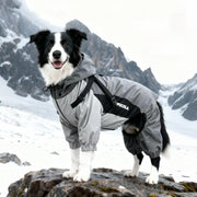 StormGuard™ Graphene Dog Coat – Waterproof, Windproof & Insulated Outdoor Jacket