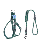 ProGrip Striped Dog Leash