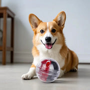 Treat Quest™ Slow-Feed Training Ball