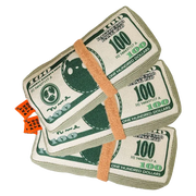 PawCanvas™ Catnip Canvas Teaser Toy