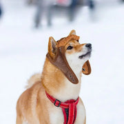 AeroPaws™ Winter Aviator Hat – Retro Fleece Pilot Cap