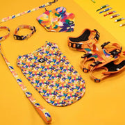 AdventureKit™ Modular Pet Harness Set