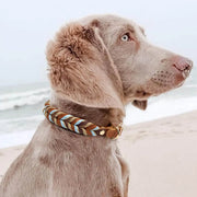 Premium Handmade Leather Dog Collar & Lead Set