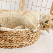 Willow Haven™ Cat Scratch Nest