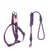 ProGrip Striped Dog Leash