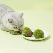 AcornBite™ Catnip Plush Toy Pendant