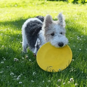 SkyBound™ EVA Flying Disc
