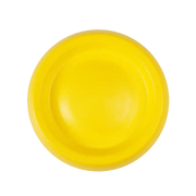 SkyBound™ EVA Flying Disc