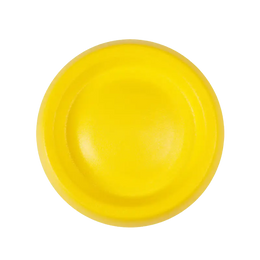 SkyBound™ EVA Flying Disc