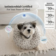 Protective Pet Recovery Collar for Cats & Dogs – Comfortable & Safe | SnugTrekker