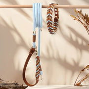 Premium Handmade Leather Dog Collar & Lead Set