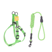 ProGrip Striped Dog Leash