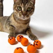 WoolWhisper™ Silent Felt Cat Balls