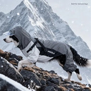 Waterproof Dog Coat for Winter Walks – Graphene Insulated & Windproof | SnugTrekker