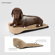 Extended Pet Shoulder Carrier – Ergonomic Travel Bag for Long-Body Dogs & Cats