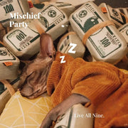 PawCanvas™ Catnip Canvas Teaser Toy