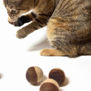 WoolWhisper™ Silent Felt Cat Balls