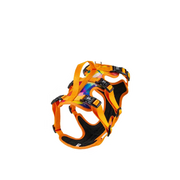 AdventureKit™ Modular Pet Harness Set