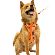 Designer Pet Bundle Sets - Harness, Leash & Bandana Combos | 3 Sizes, 11 Arts - SNUGTREKKER