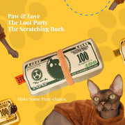 PawCanvas™ Catnip Canvas Teaser Toy