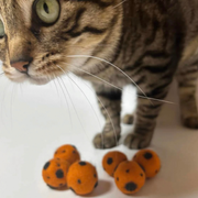 WoolWhisper™ Silent Felt Cat Balls