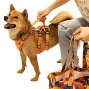 AdventureKit™ Modular Pet Harness Set