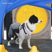 Waterproof Dog Coat for Winter Walks – Graphene Insulated & Windproof | SnugTrekker