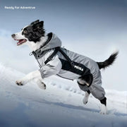 Waterproof Dog Coat for Winter Walks – Graphene Insulated & Windproof | SnugTrekker