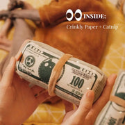 PawCanvas™ Catnip Canvas Teaser Toy