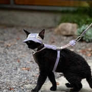 SunShield™ Lightweight Cat Sun Hat – Adjustable Waterproof Outdoor Cap for Cats