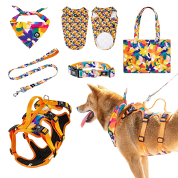 AdventureKit™ Modular Pet Harness Set