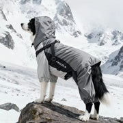 Waterproof Dog Coat for Winter Walks – Graphene Insulated & Windproof | SnugTrekker