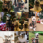 WoolBlend™ Heritage Pet Cape – British-Style Wool Coat for Small & Medium Dogs